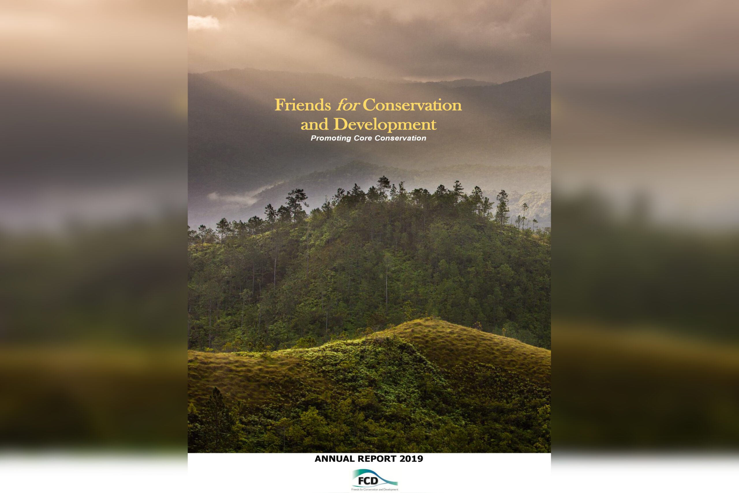 FCD Annual Report 2019