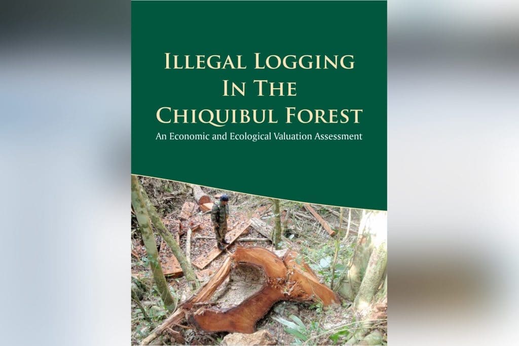 Illegal LoggingIn TheChiquibul Forest