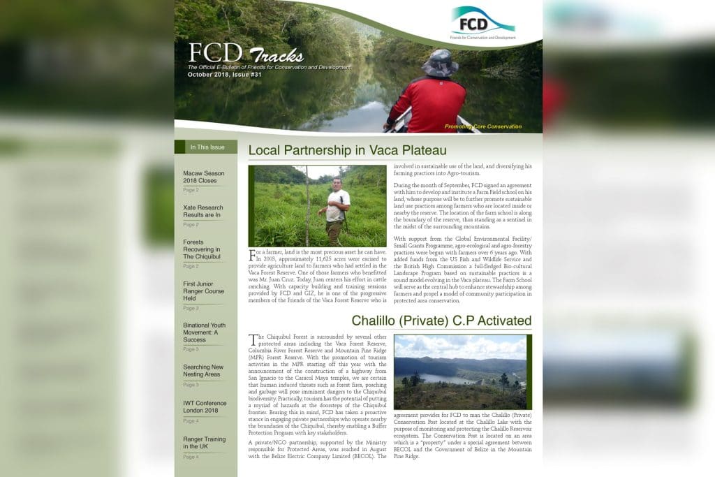 FCD Newsletter Issue #31