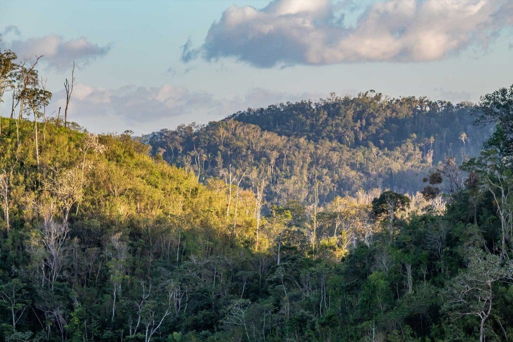 FCD Visits Vaca Plateau with the Belize Forest Department Officer