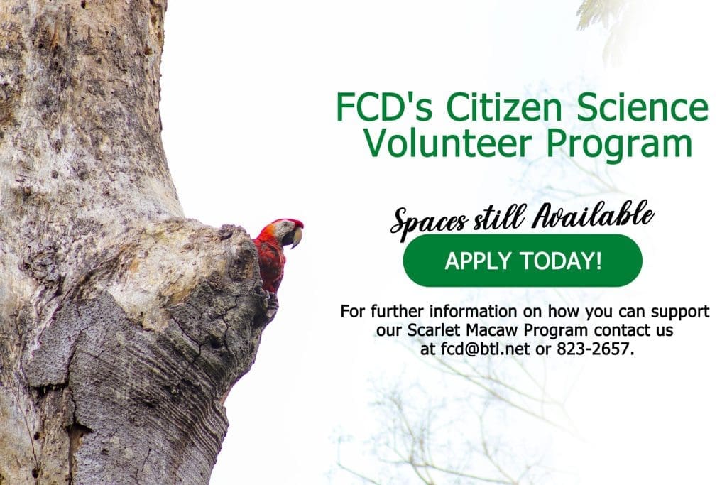 Join as a volunteer with FCD’s Citizen Science Program.