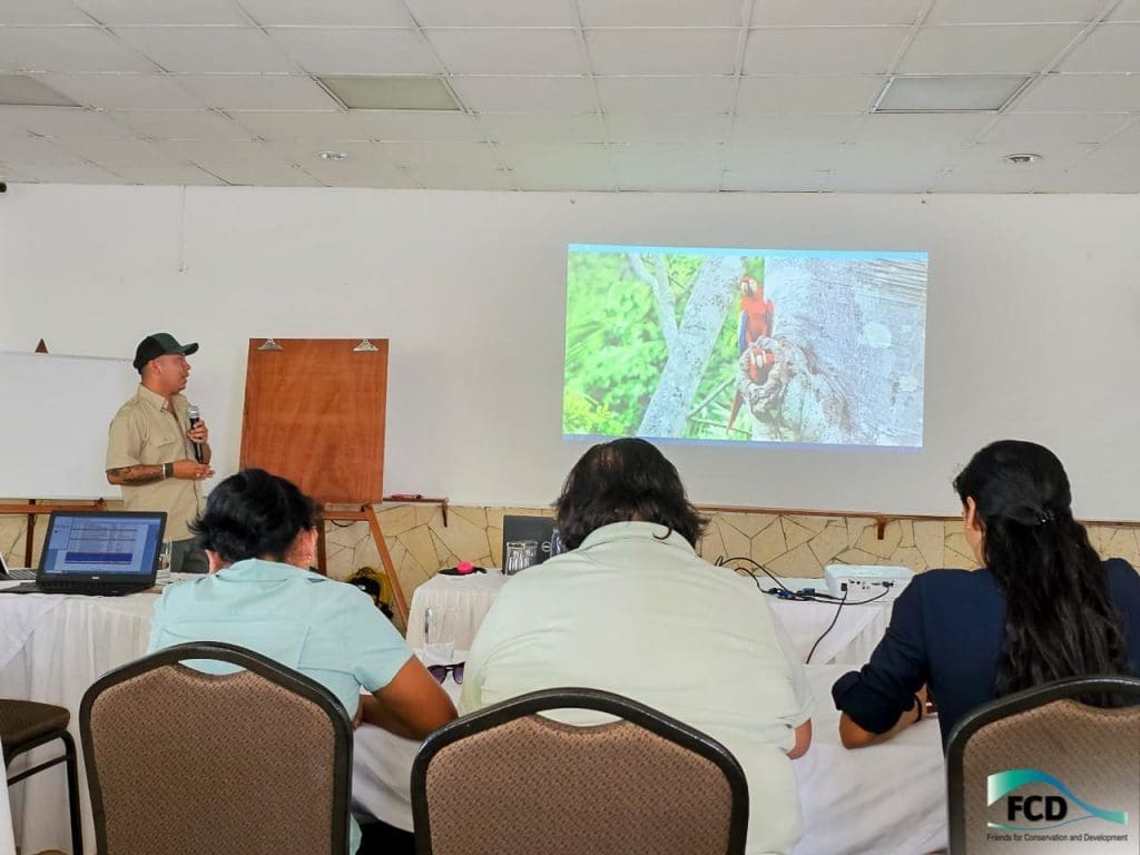 The Selva Maya is a key nesting region for the critically endangered species of scarlet macaws, in Guatemala, Mexico, and Belize.