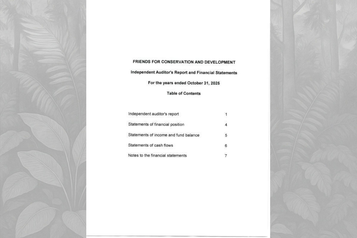 2025 Audited Financial Statements
