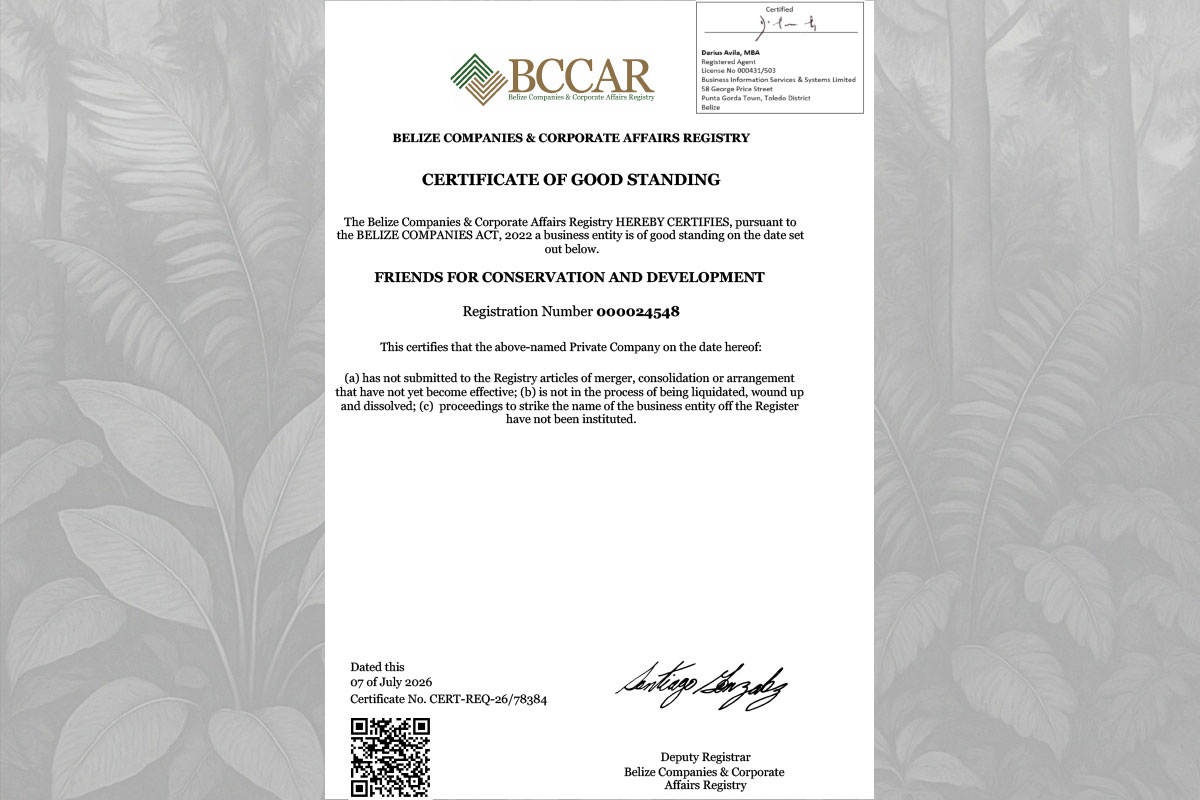 2026 Certificate of Good Standing