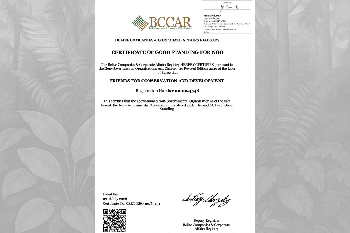 2026 NGO Certificate of Good Standing