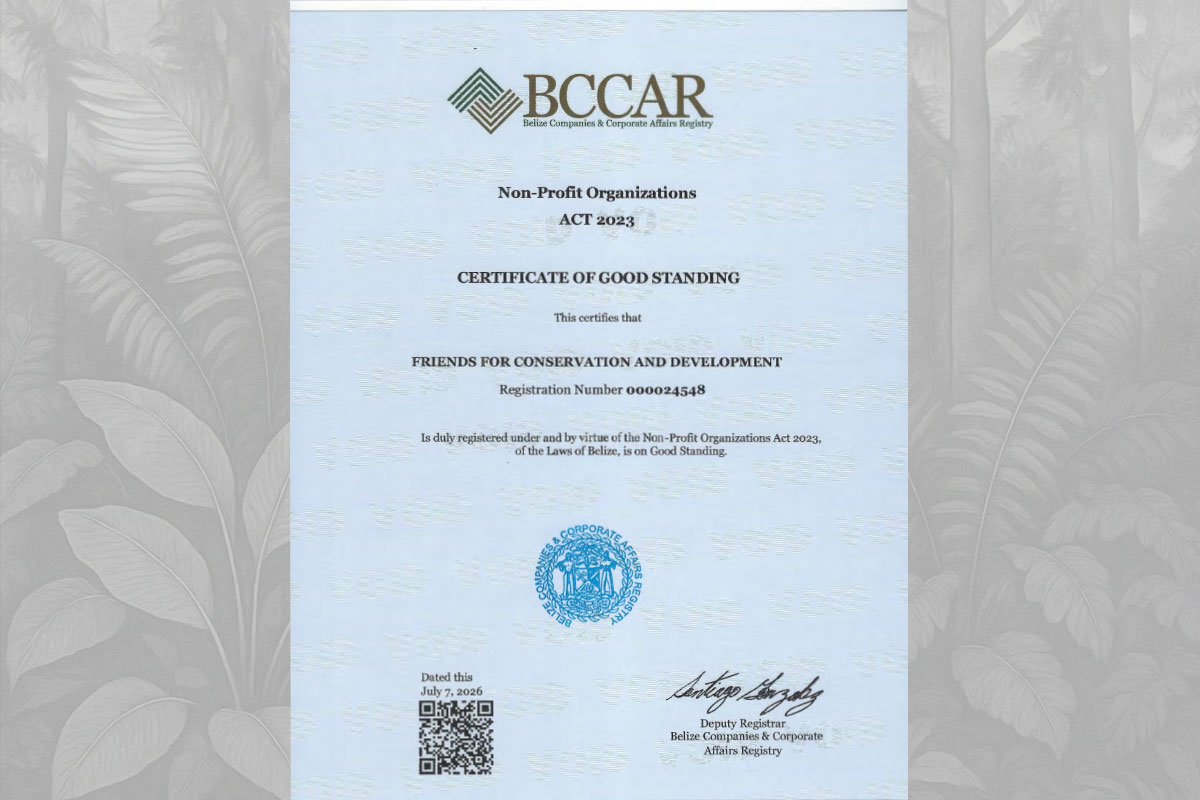 2026 Non-Profit Organization Certificate of Good Standing