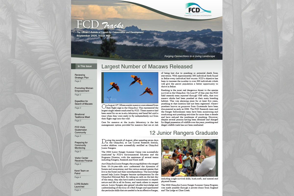 FCD Tracks | Issue #60 | September 2026
